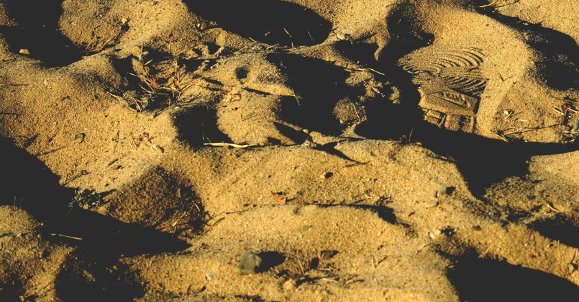 The Minimalist Footprint: How to Enjoy High-Tier BINGO4D Software with Zero System Clutter